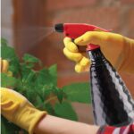 بخاخ ماء دايموند