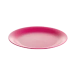 طبق مسطح 26 سم لايف ستايل - فوشياLifestyle Dinner Plate 26 cm - Fuchsia